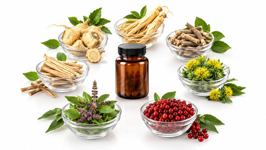 Adaptogens for Libido: 7 Evidence-Based Picks
