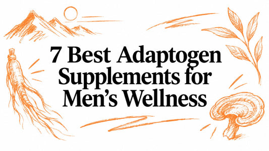 7 Best Adaptogen Supplements for Men's Wellness