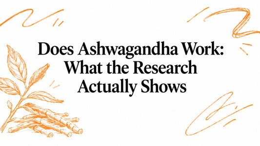 Does Ashwagandha Work: What the Research Actually Shows