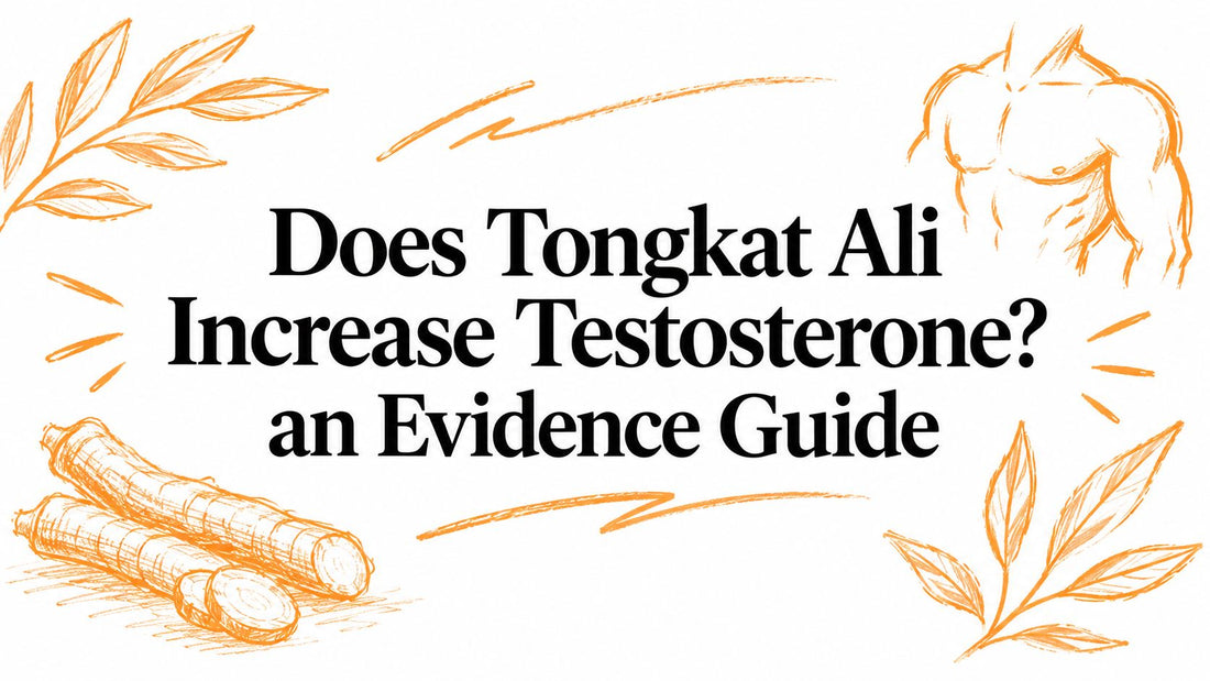 Does Tongkat Ali Increase Testosterone? an Evidence Guide