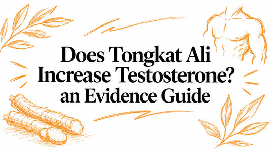 Does Tongkat Ali Increase Testosterone? an Evidence Guide
