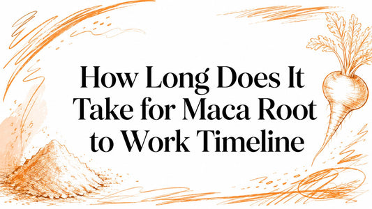 How Long Does It Take for Maca Root to Work Timeline
