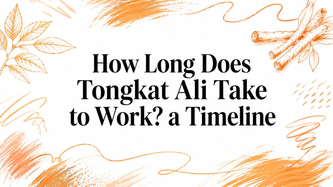 How Long Does Tongkat Ali Take to Work? a Timeline