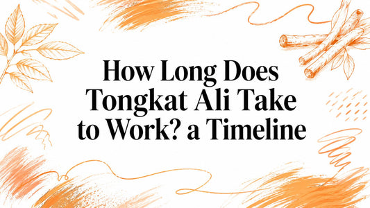 How Long Does Tongkat Ali Take to Work? a Timeline
