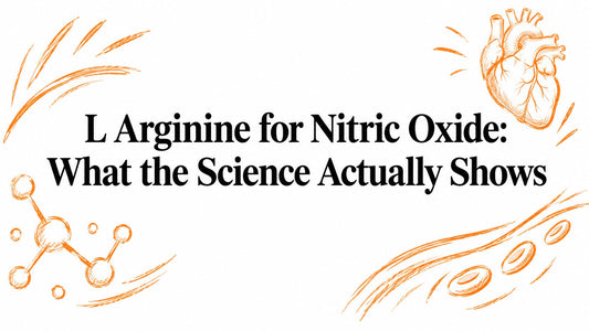 L Arginine for Nitric Oxide: What the Science Actually Shows