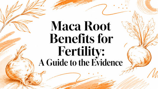 Maca Root Benefits for Fertility: A Guide to the Evidence