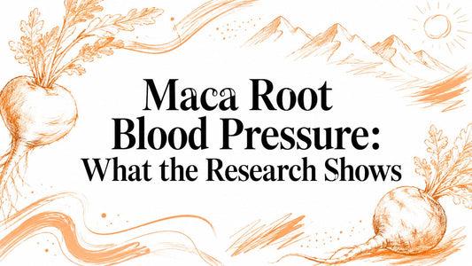 Maca Root Blood Pressure: What the Research Shows