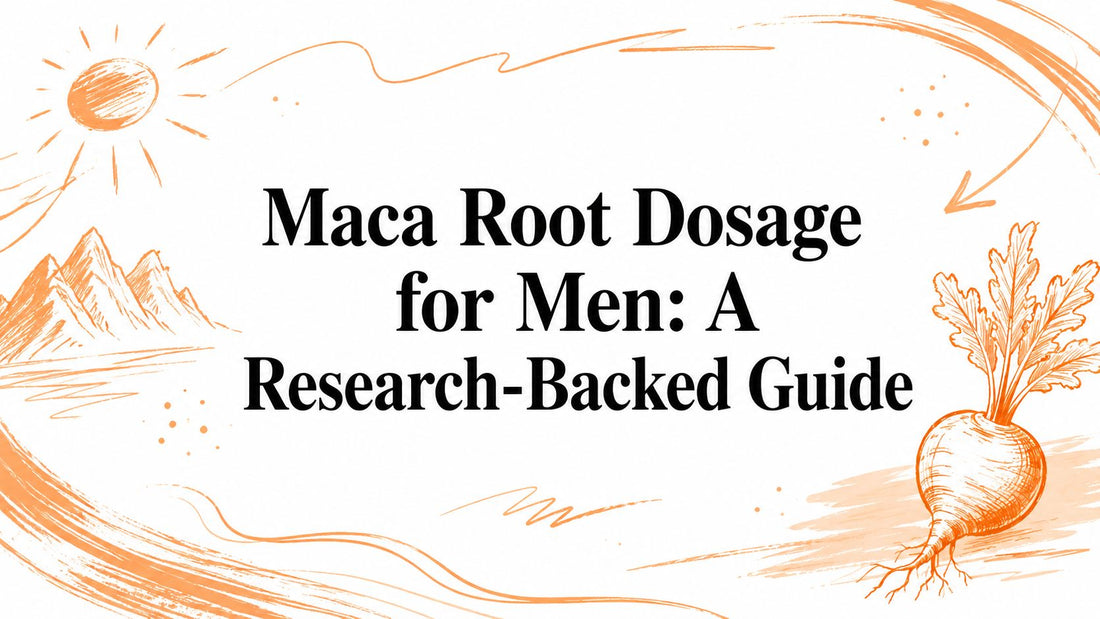 Maca Root Dosage for Men: A Research-Backed Guide