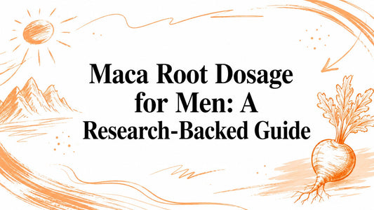 Maca Root Dosage for Men: A Research-Backed Guide