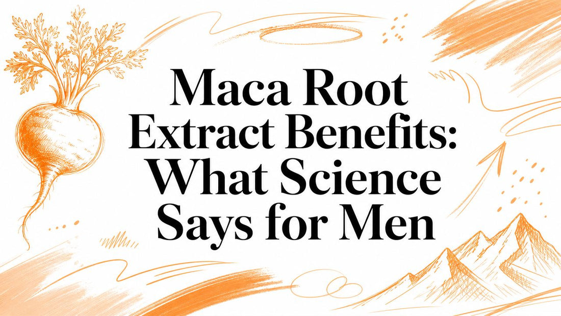 Maca Root Extract Benefits: What Science Says for Men