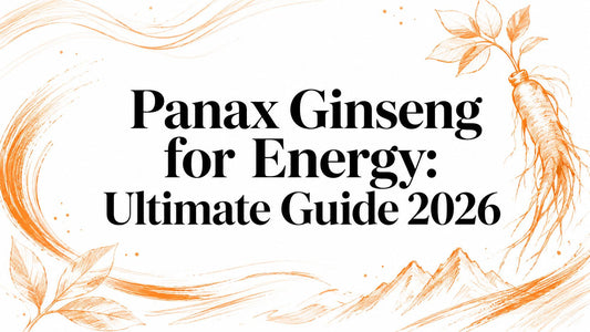 Panax Ginseng for Energy: Ultimate Guide 2026