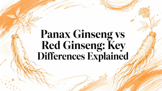 Panax Ginseng vs Red Ginseng: Key Differences Explained