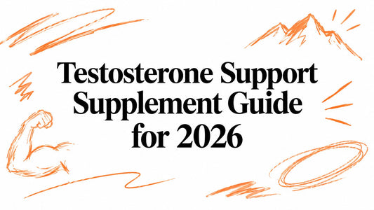 Testosterone Support Supplement Guide for 2026