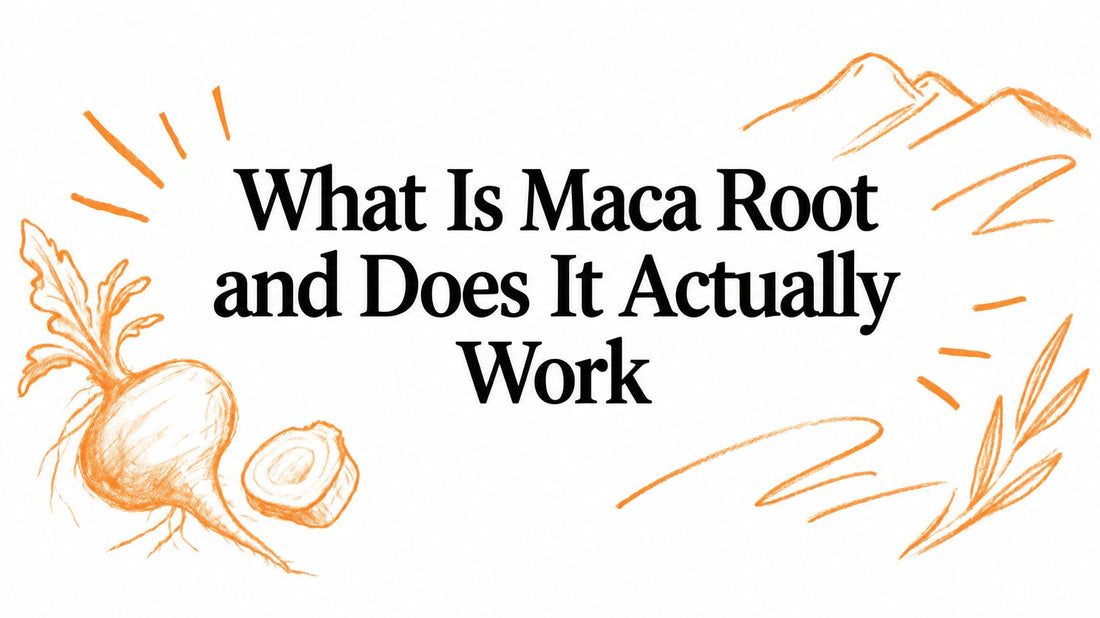 What Is Maca Root and Does It Actually Work
