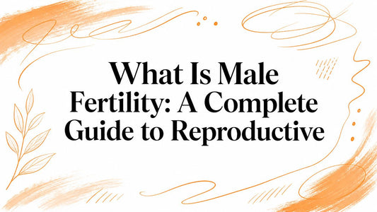 What Is Male Fertility: A Complete Guide to Reproductive