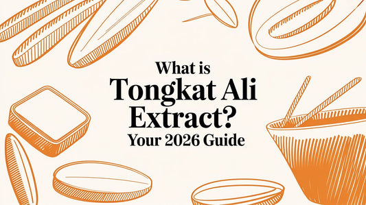 What Is Tongkat Ali Extract? Your 2026 Guide