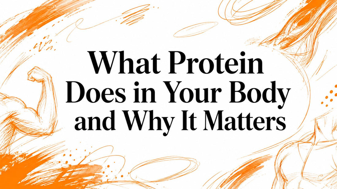 What Protein Does in Your Body and Why It Matters