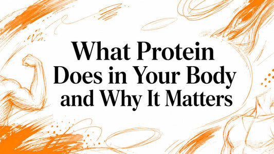 What Protein Does in Your Body and Why It Matters