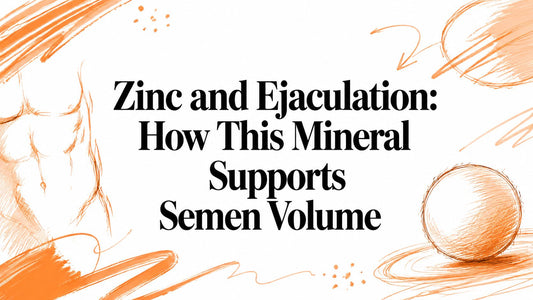 Zinc and Ejaculation: How This Mineral Supports Semen Volume