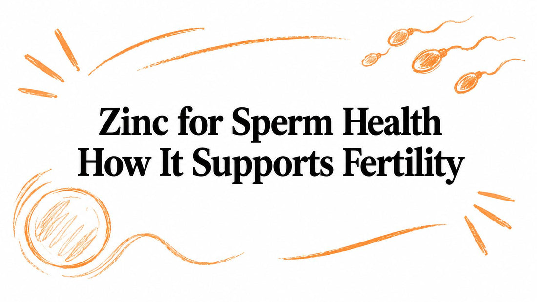 Zinc for Sperm Health How It Supports Fertility