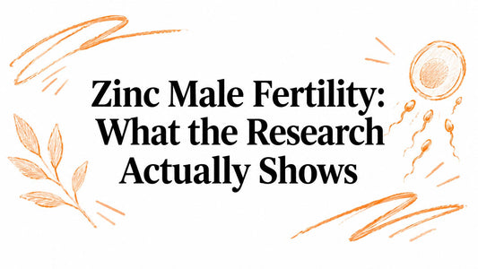 Zinc Male Fertility: What the Research Actually Shows