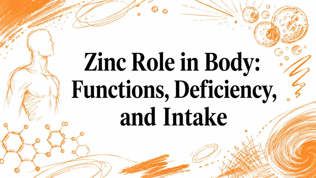 Zinc Role in Body: Functions, Deficiency, and Intake