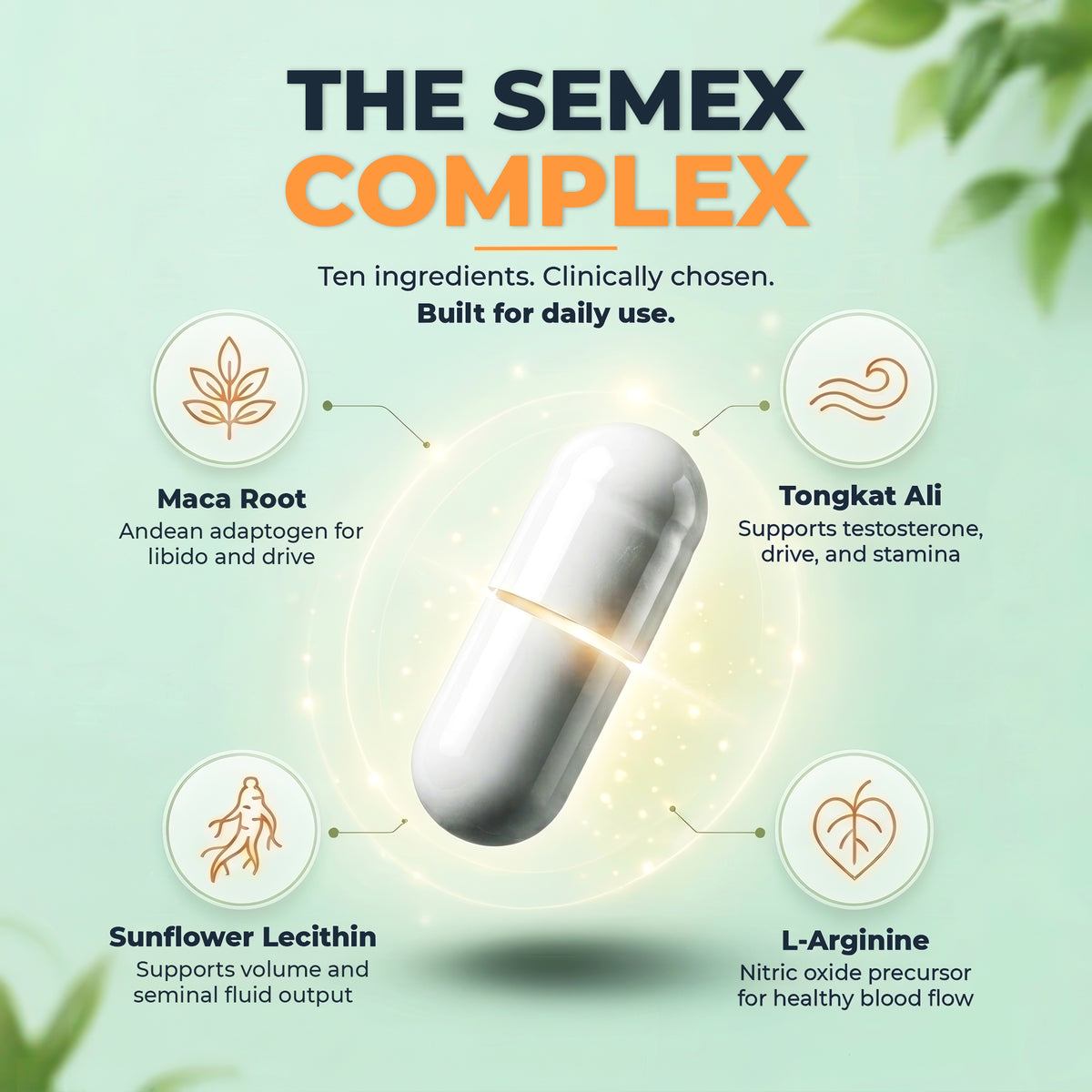 SEMEX