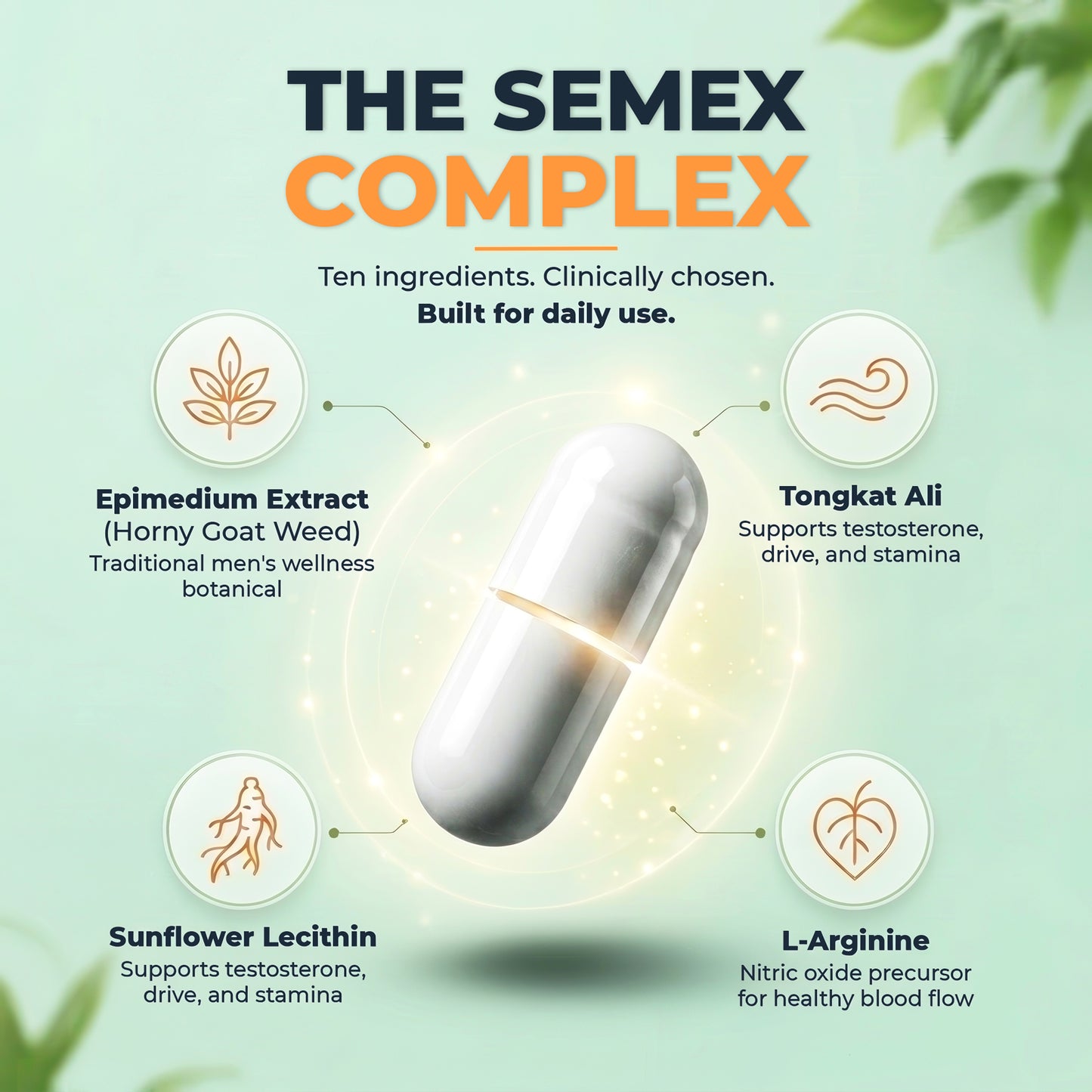 SEMEX