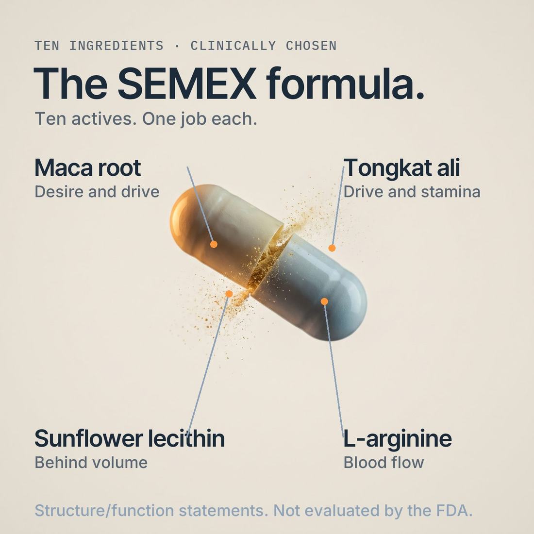 SEMEX – image 4